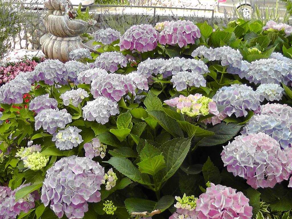 Lavanda 3 Нивице Экстерьер фото